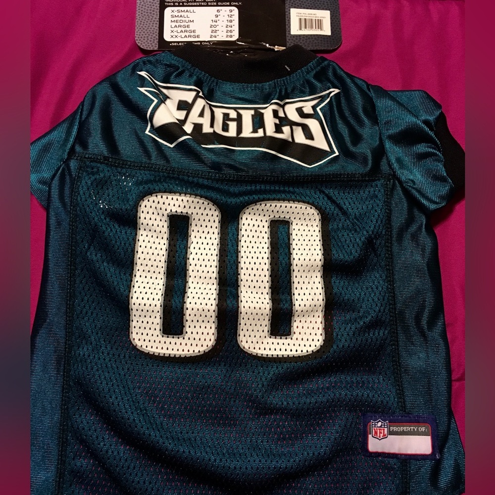 Eagles Teal Pet Jersey